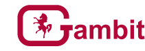 Gambit
